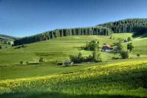 Jak raportować do BDO i KOBIZE Natychmiastowo?