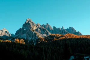 Nie działająca klima w aucie? O serwisie klimatyzacji